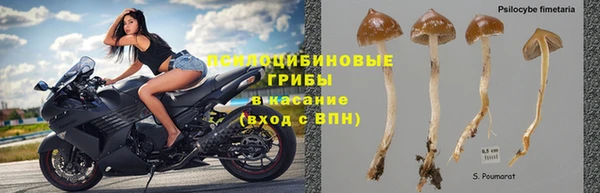 гашик Баксан