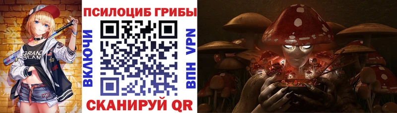 Галлюциногенные грибы Psilocybe дарнет шоп Бор