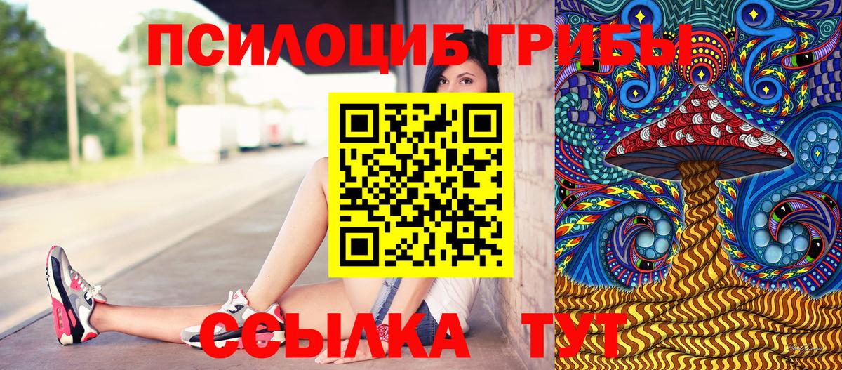 Псилоцибиновые грибы Cubensis  Вход с VPN  Бор 